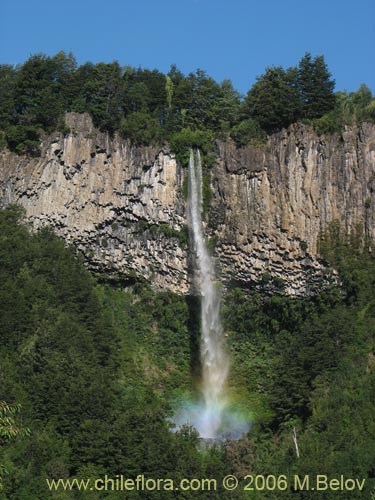 image of a high waterfall with a rainbow near Reigolil, Chile.